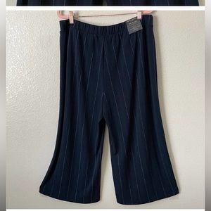 Banana Republic Womens Wide Leg Pants Large Blue High Rise Cropped Striped.